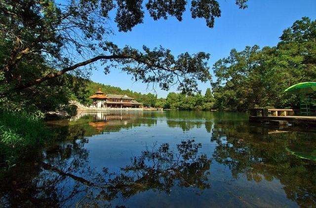 timg (9).jpg timg (9).jpg