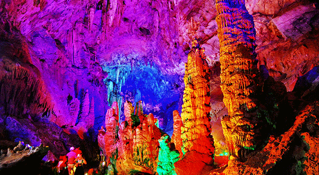 timg-(1).gif timg-(1).gif