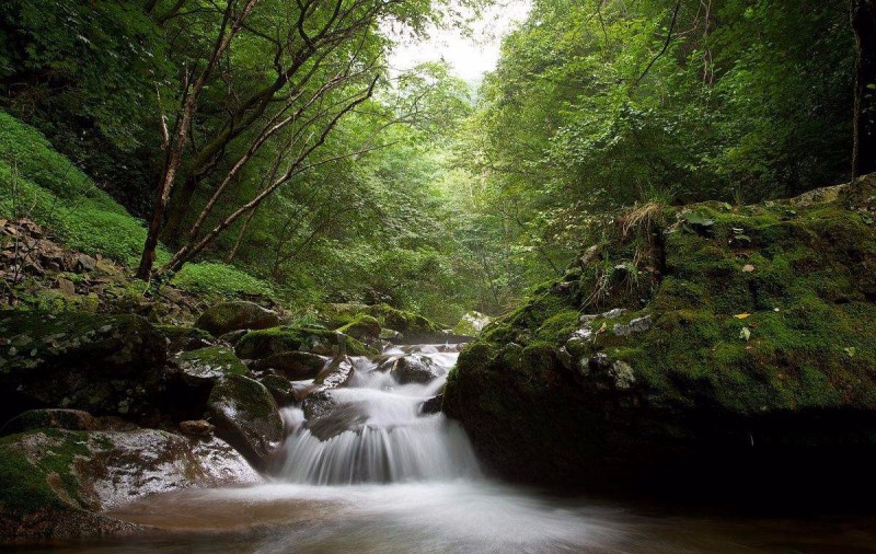 timg (4).jpg timg (4).jpg