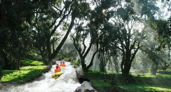 timg (13).jpg timg (13).jpg